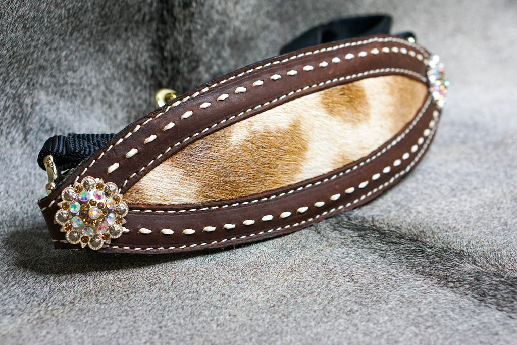EXOTIC GIRAFFE Horse Bronc Halter