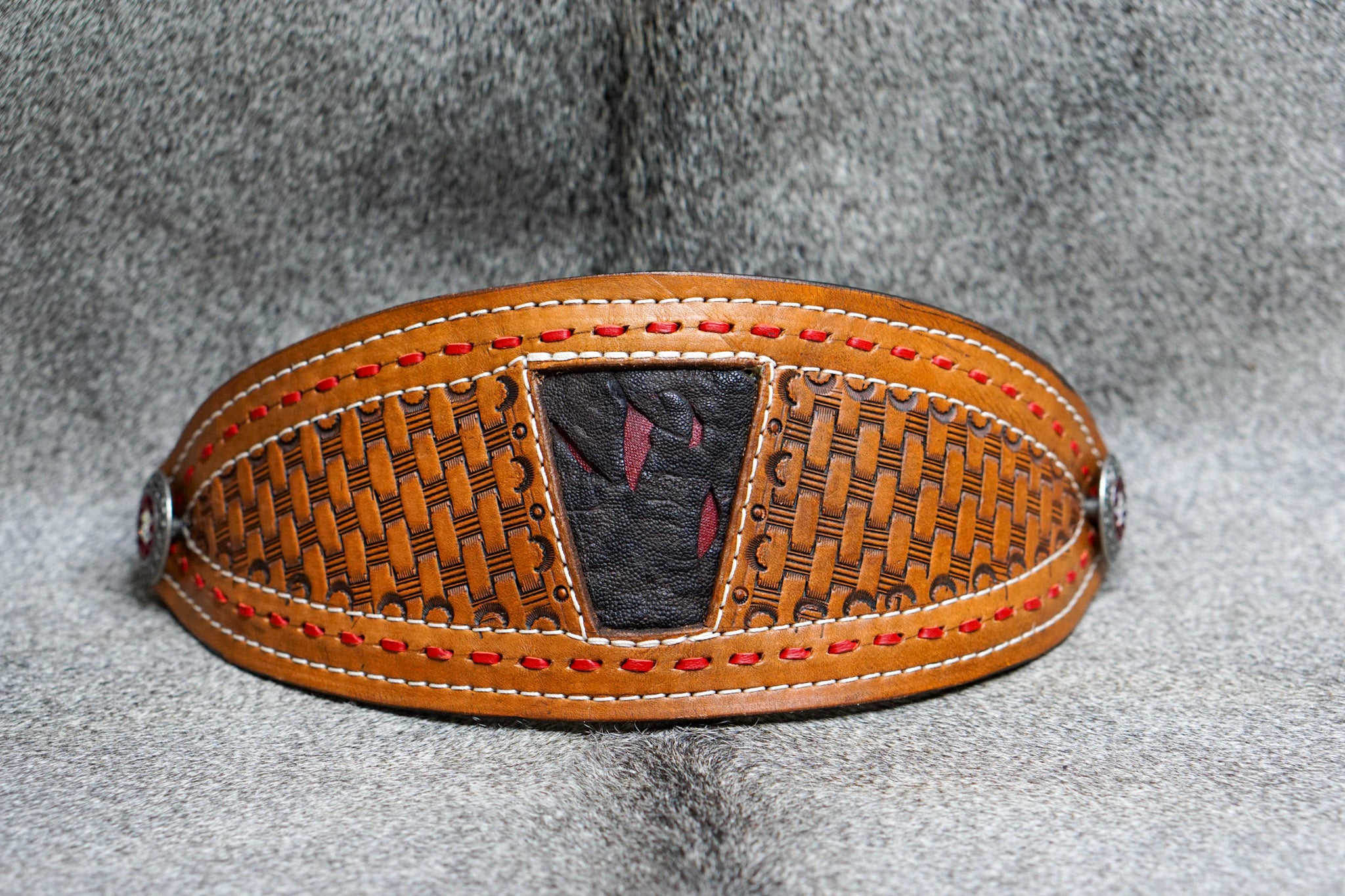 EXOTIC ELEPHANT Horse Bronc Halter #1