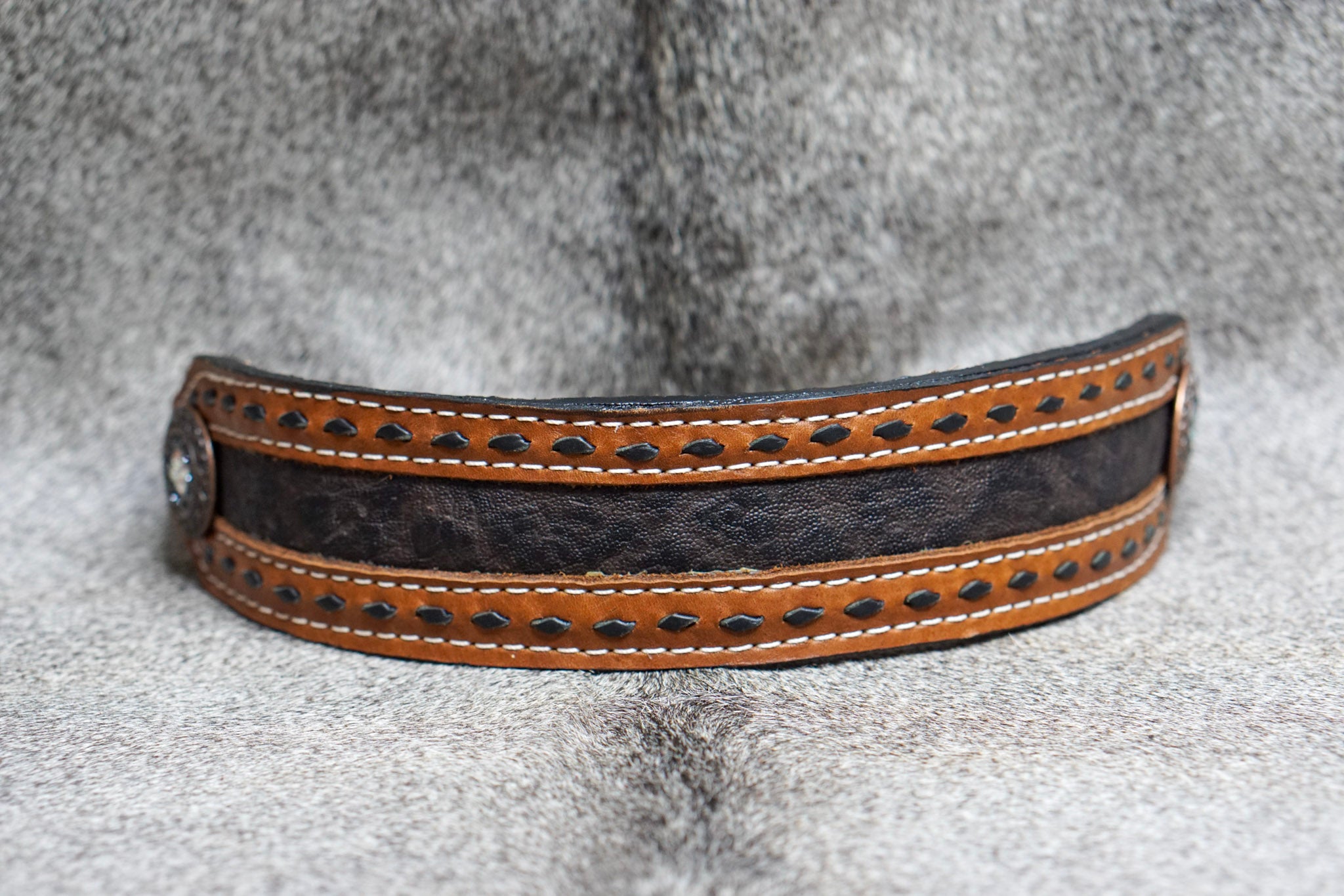 EXOTIC ELEPHANT Horse Bronc Halter #2