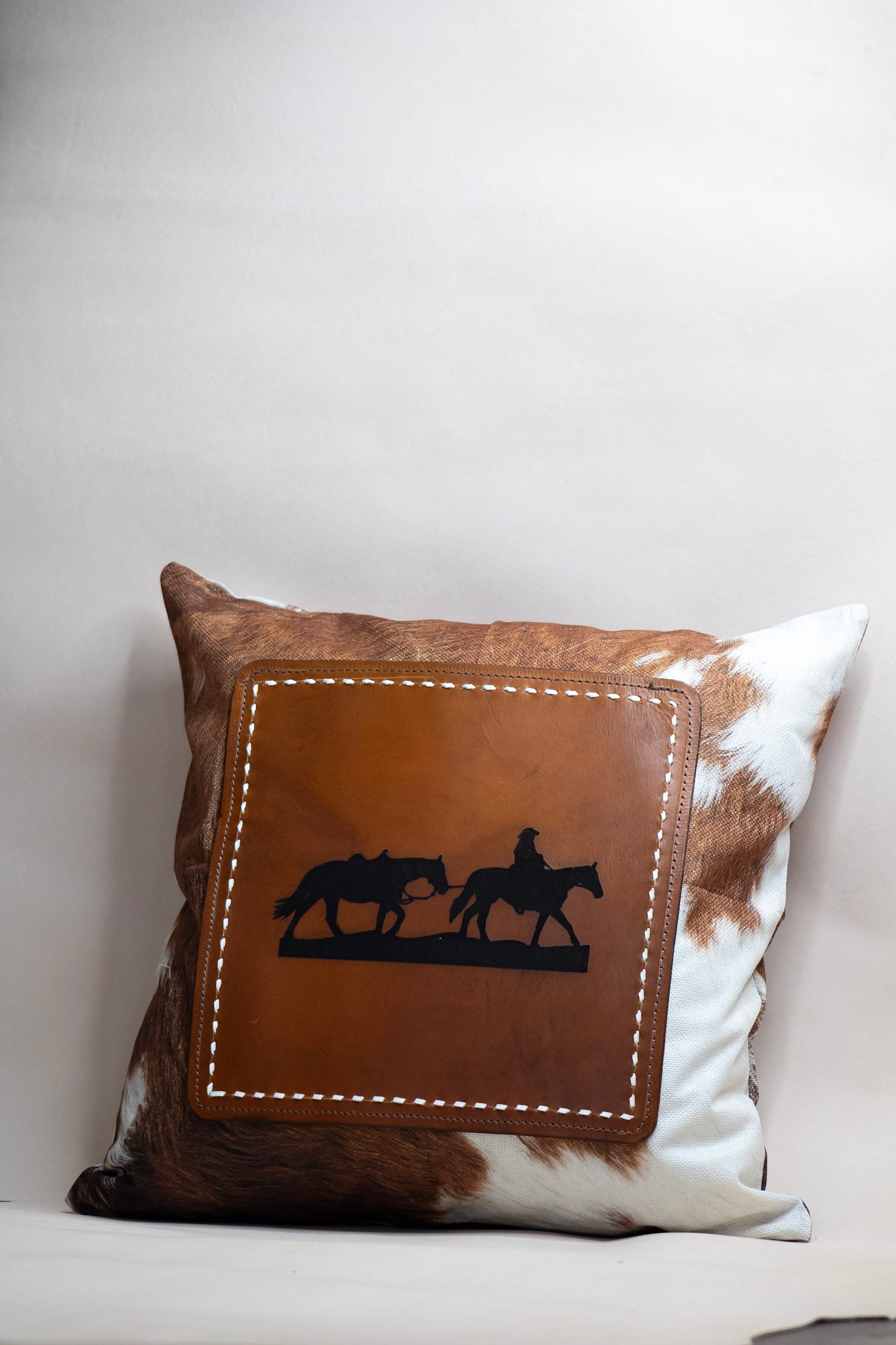 Pillow Case (with pillow) #1