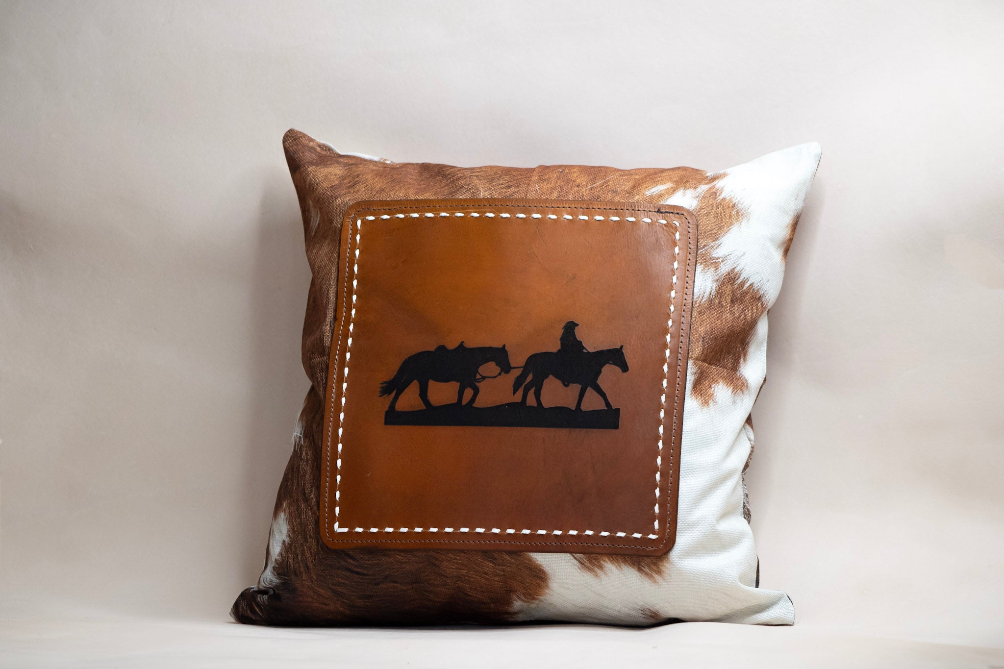 Pillow Case (with pillow) #1