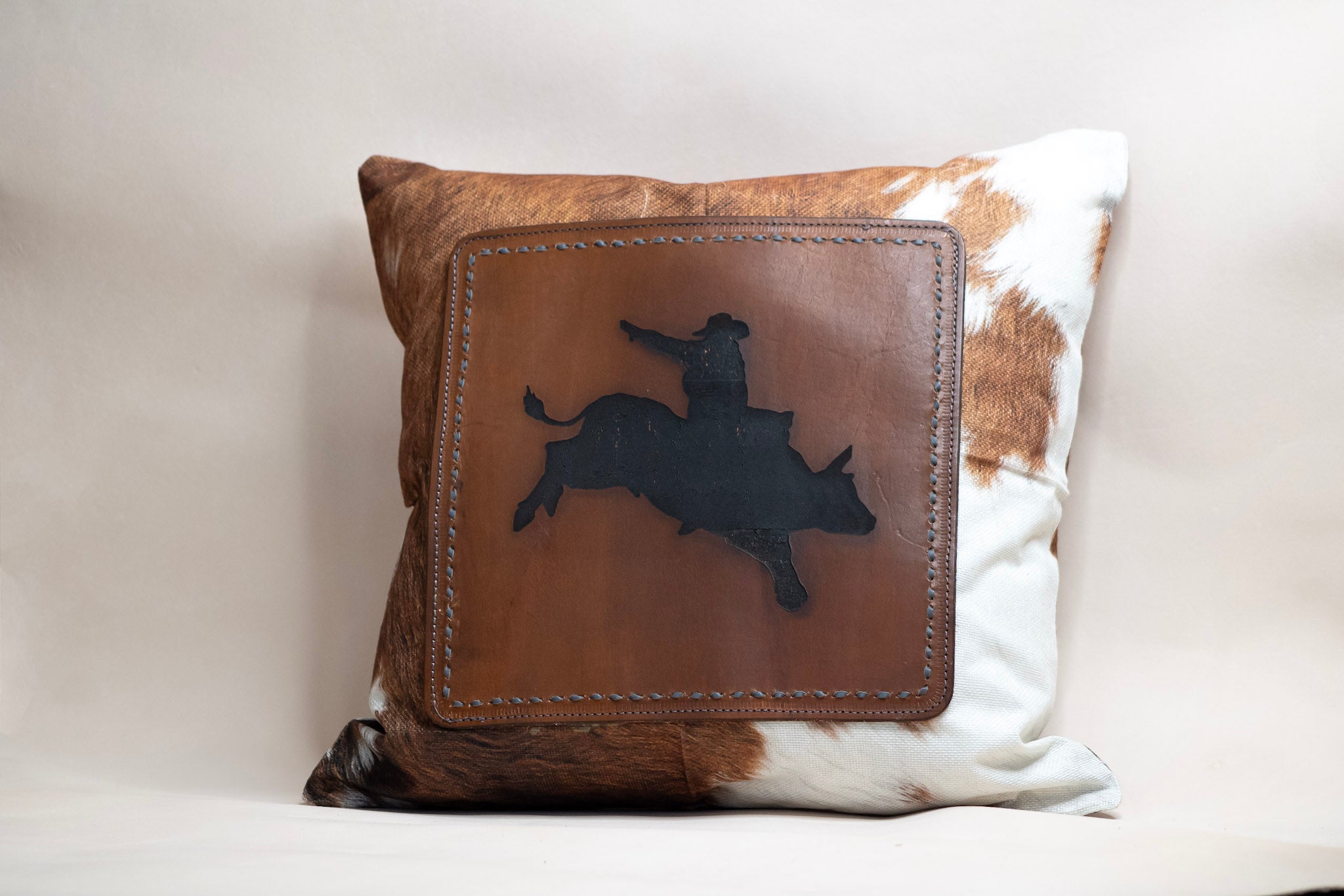 Pillow Case (with pillow) #2